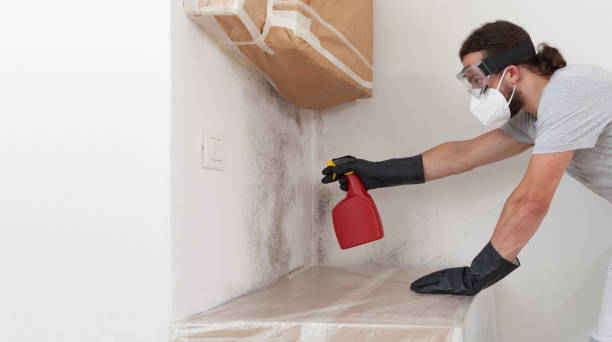 Professional Mold Removal technician working in Austin, TX